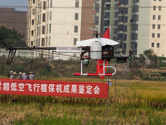 鸿运国际科技超低空？？？睾叫兄脖；ü蒲行Ч卸