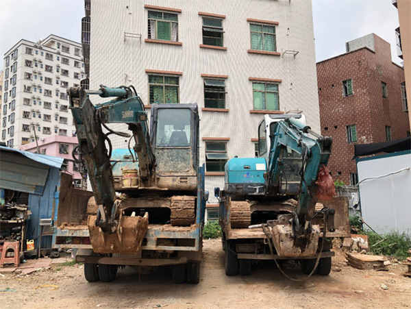 8年“钟情”，，，“鸿运国际绿”助力展鸿途