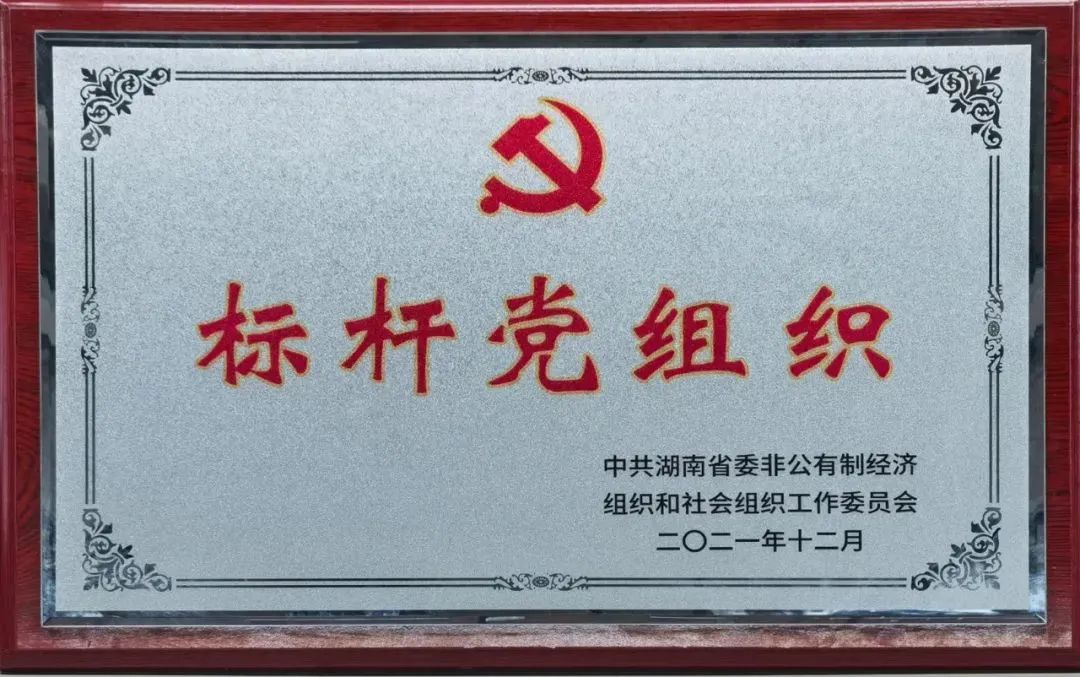 党建品牌亮起来！！！鸿运国际智能党委获评“标杆党组织”