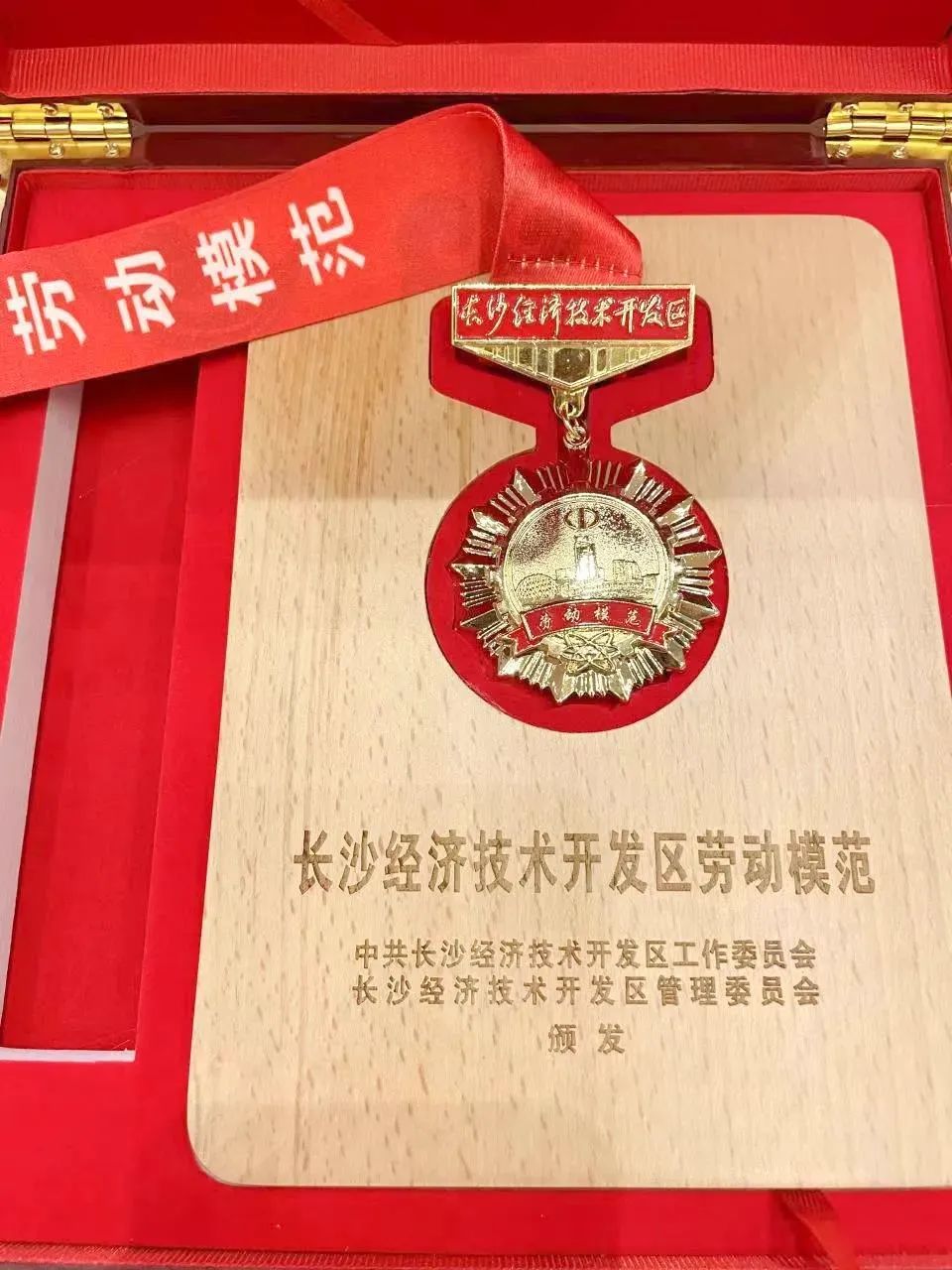 长沙经开区劳模林宏武：：扎根工程机械40载 永葆实干立异小儿心