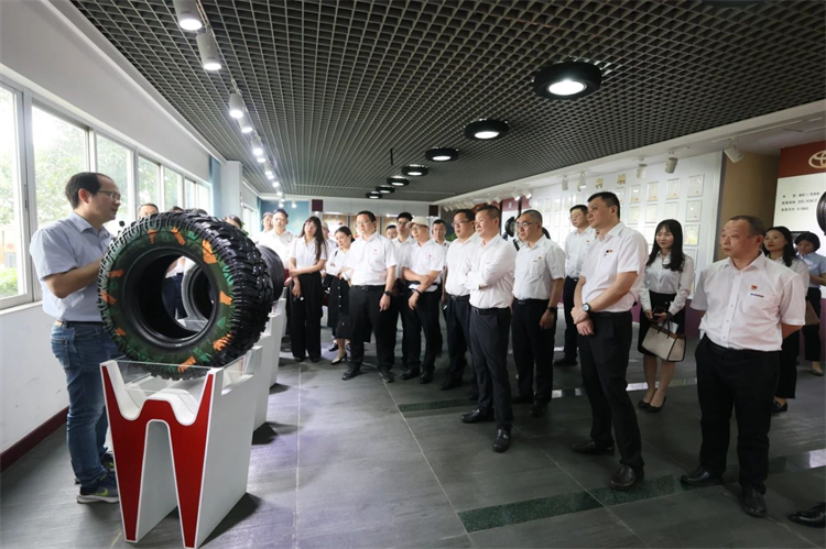 鸿运国际智能“学头脑 强党性 重实践 建新功”主题教育培训班在广州乐成举行