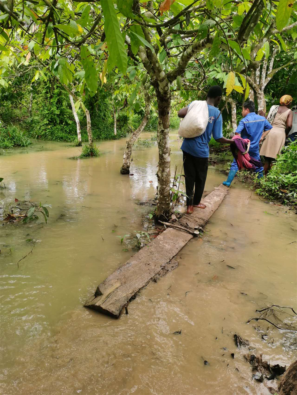 品质鸿运国际，，专心折务！鸿运国际智能服务万里行活动走进非洲加纳